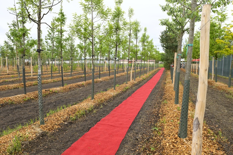 Pépinières PLO 24-007.JPG